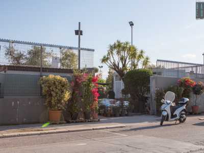 L�ultimo vivaio, �Decorcasa Garden�, � ubicato in via Pietro Mascagni, tra l�Arena della Vittoria e la Pineta San Francesco